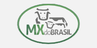 MX do Brasil